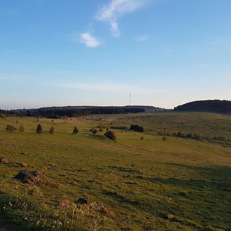 Ferienwohnung Pusteblume Ehrenberg  Екстер'єр фото